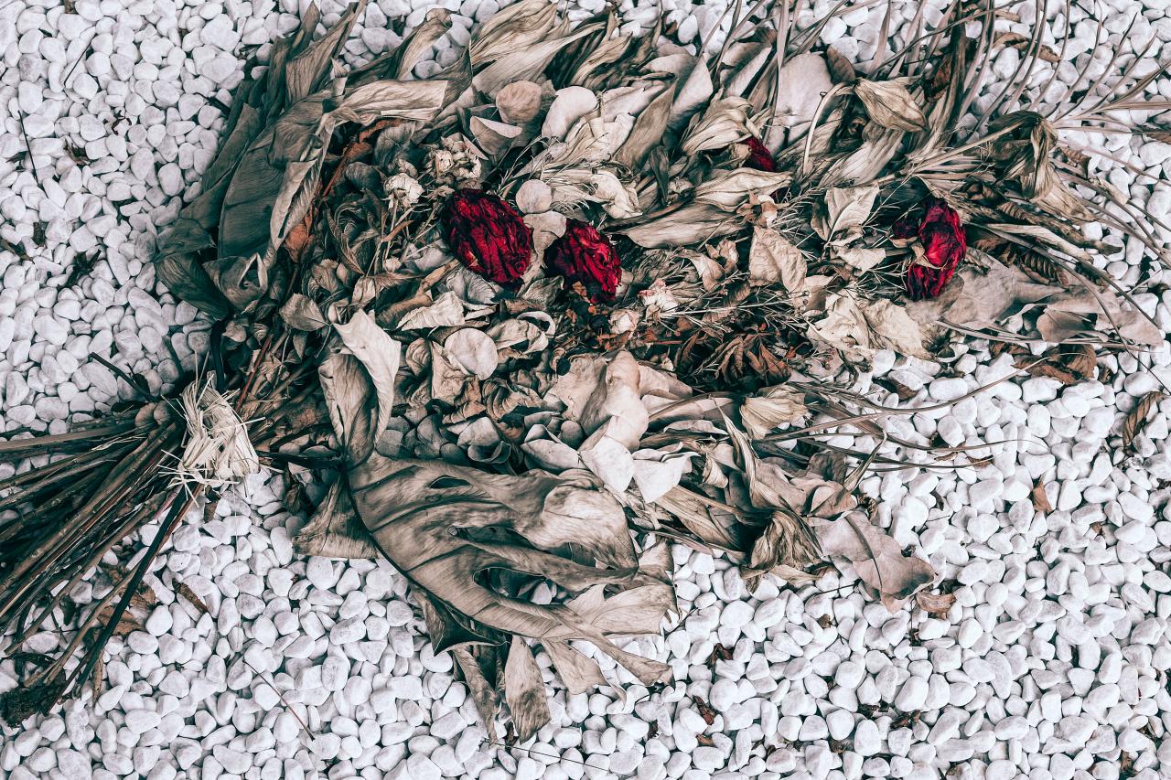 Dried Leaves on White and Gray Stones