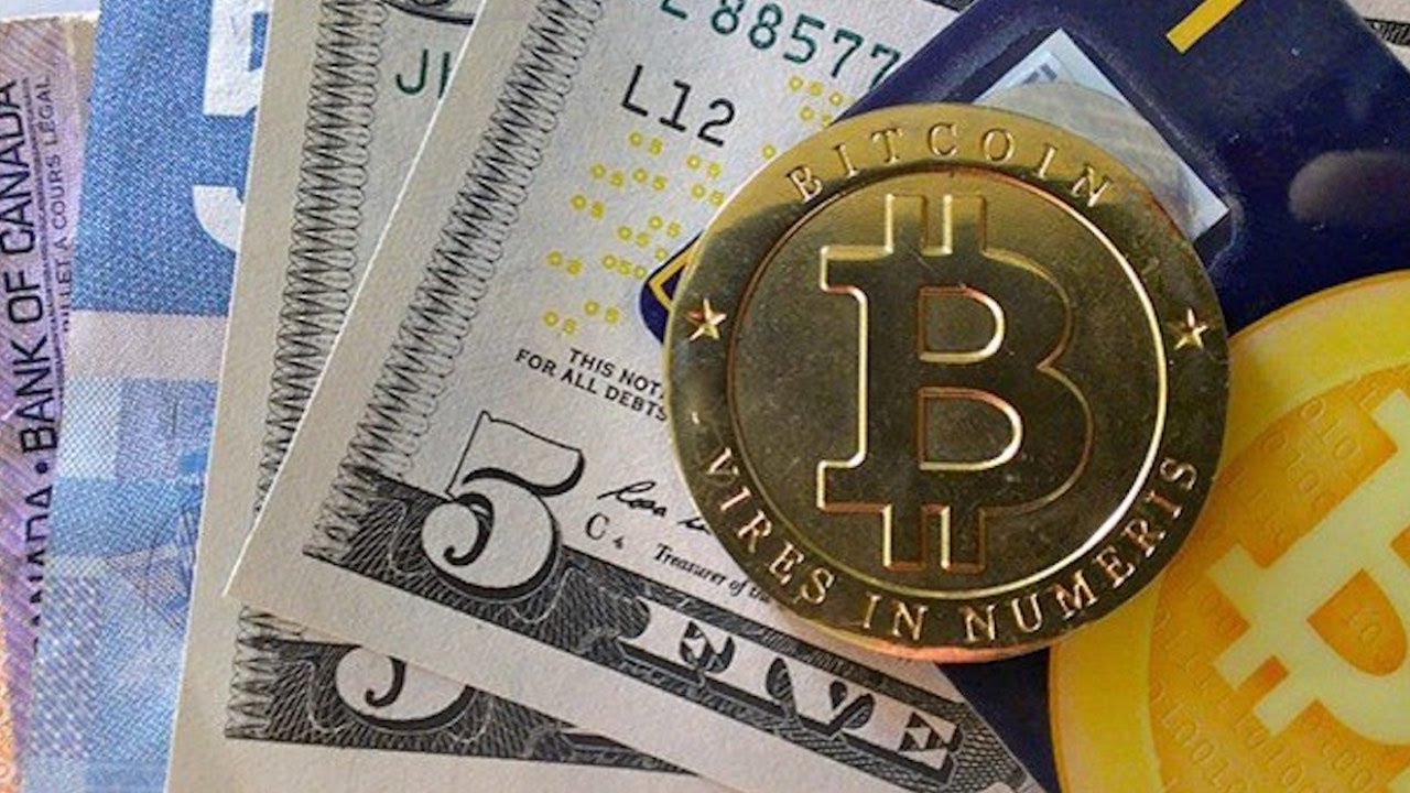 عملة بتكوين كاش الجديدة تعرف عليها وكيف تحصل علي bitcoin cash