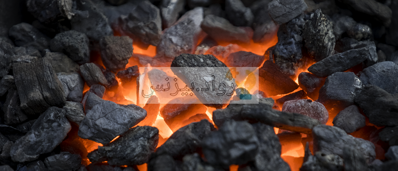 مشروع مصنع فحم صناعي نظرة شاملة حول المشروع