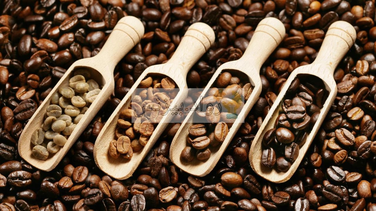 مشروع قهوة مختصة في السعودية كيف تبدأ وتنافس كبرى الماركات المتخصصة