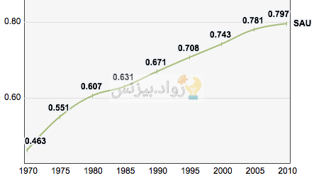 مشروع التطوير العقاري في السعودية كيف تحقق دخل سنوي منه