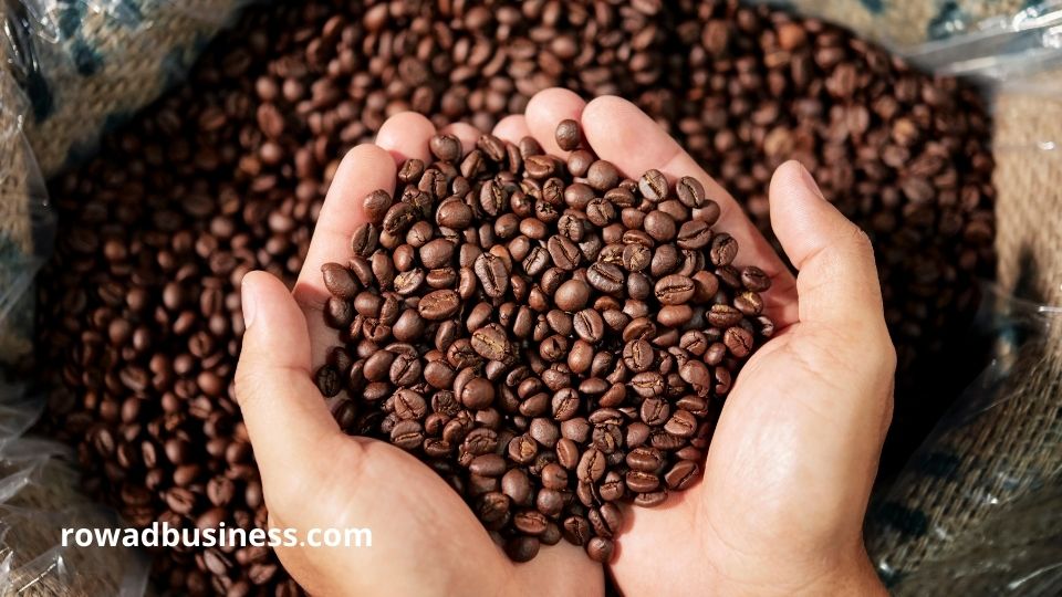 مشروع استيراد القهوة: خطوة بخطوة كيف تستورد القهوة